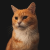Avatar for kingstyx from gravatar.com