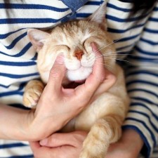 Avatar for Altessa from gravatar.com