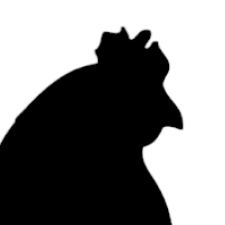Avatar for chickendrop89 from gravatar.com