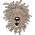Avatar for jeetsukumaran from gravatar.com