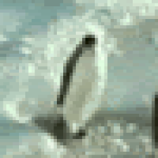 Avatar for Ahmed Khalf from gravatar.com