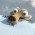 Avatar for zhangweidev from gravatar.com