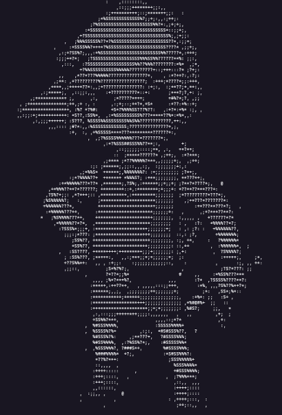 https://raw.githubusercontent.com/estevaofon/image-to-ascii-pyaoponto/main/zelda_ascii.png