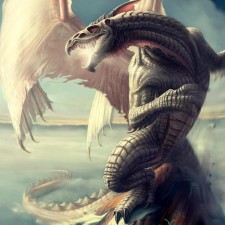 Avatar for cedricporter from gravatar.com