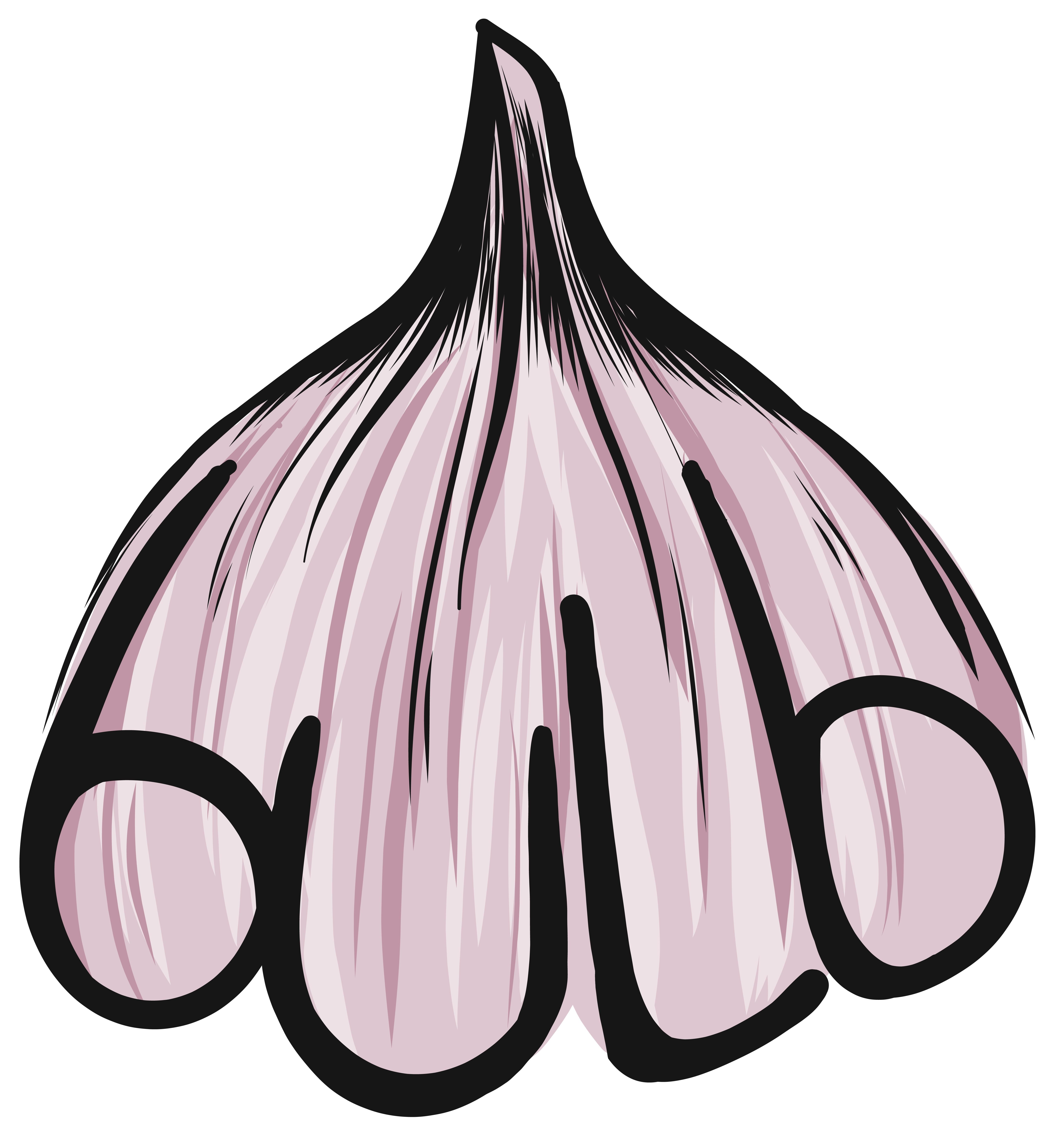 cropped and compressed logo