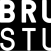 Avatar for brunchstudio from gravatar.com