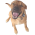 Avatar for deisterhold from gravatar.com