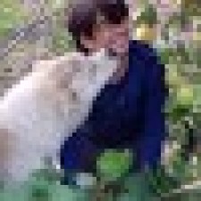 Avatar for dpineiden from gravatar.com