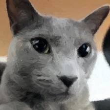 Avatar for Dan Keder from gravatar.com