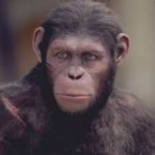 Avatar for Leonardo Toffalini from gravatar.com