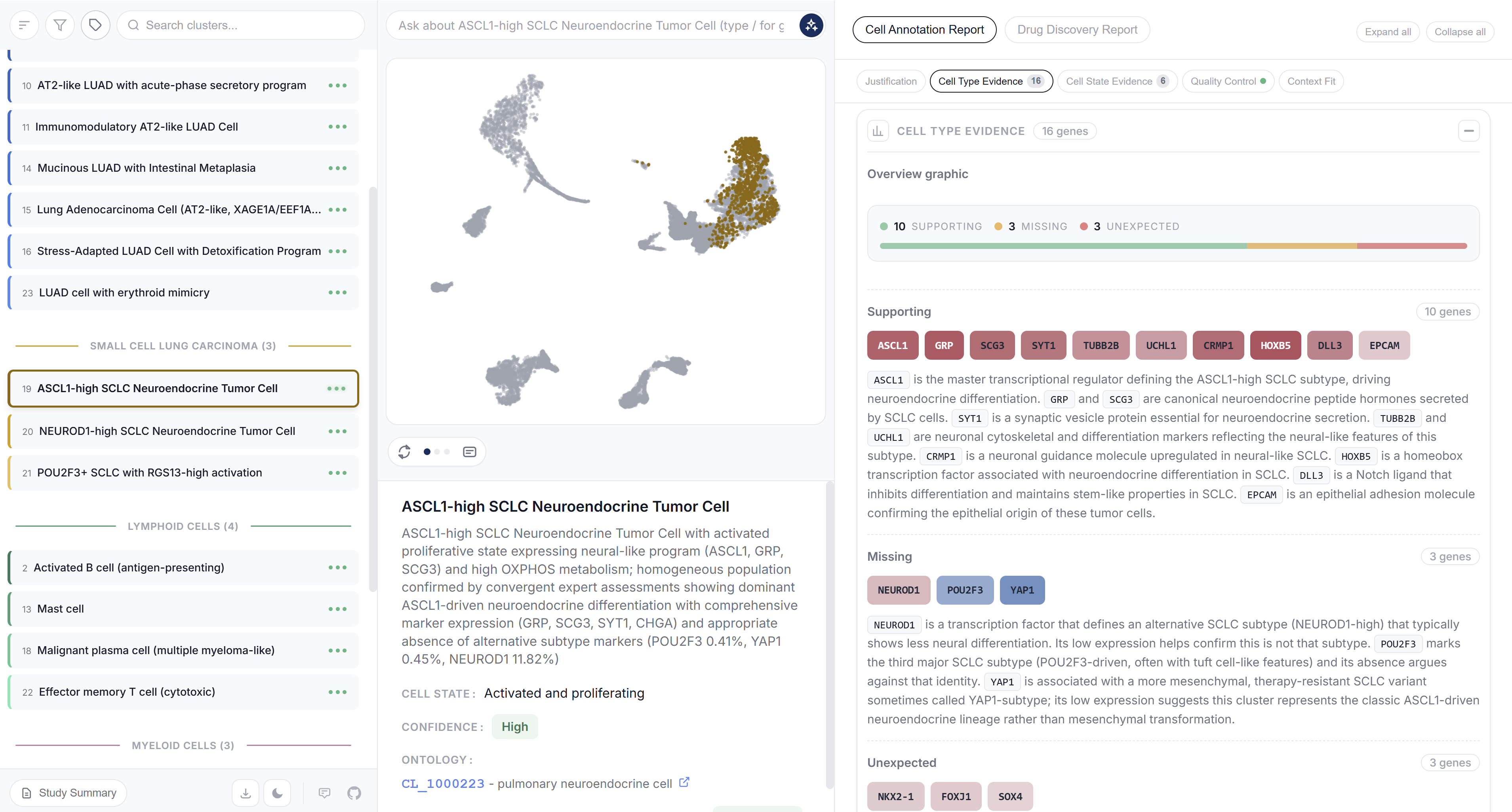 CyteType HTML report showing cell type annotations marker genes