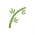 Avatar for bendlikeabamboo from gravatar.com