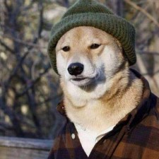 Avatar for Girbons from gravatar.com