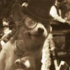 Avatar for Andreas Bernacca from gravatar.com