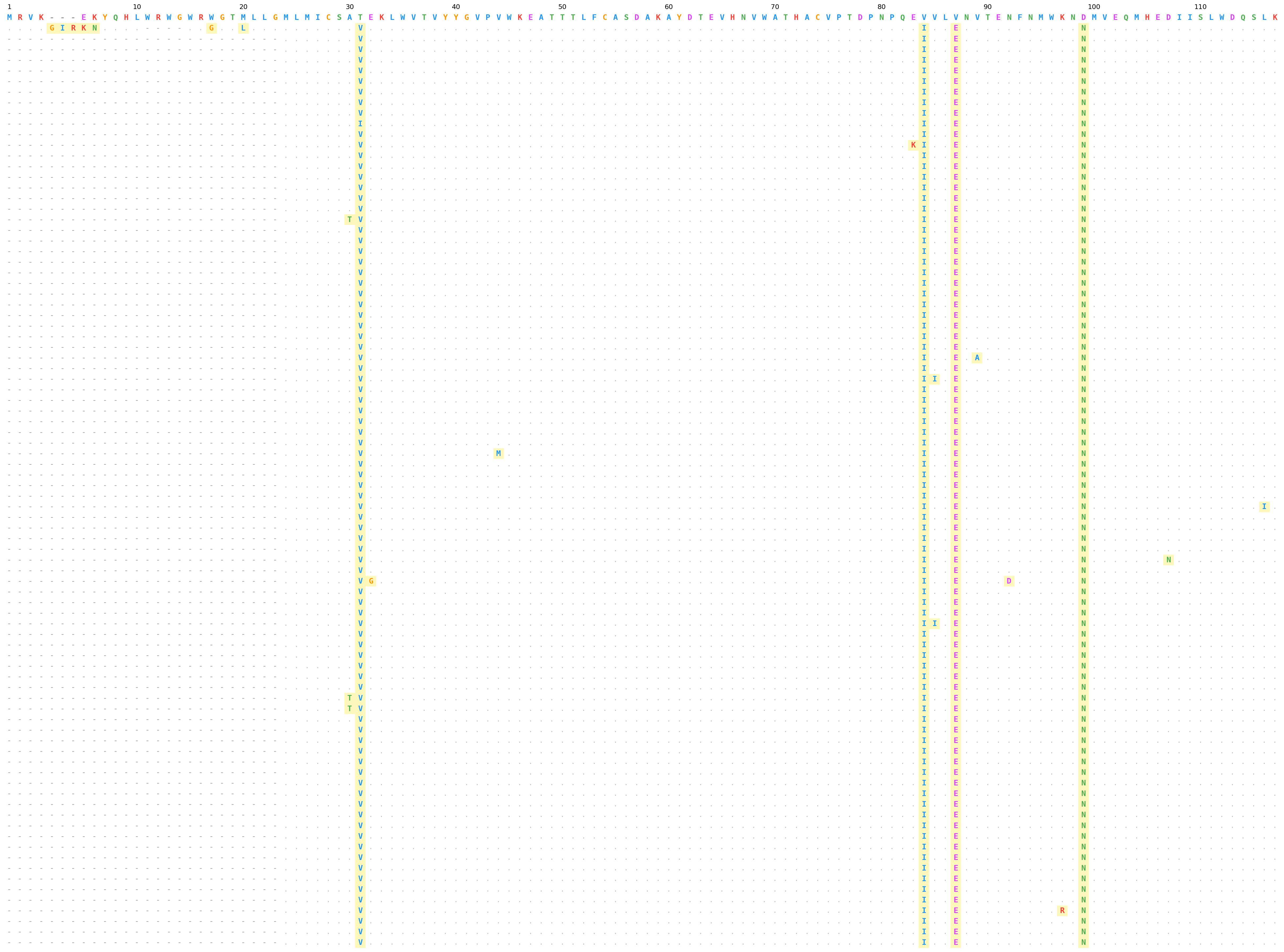 FASTA amino acid alignment