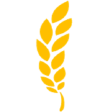 Avatar for HESTIA from gravatar.com