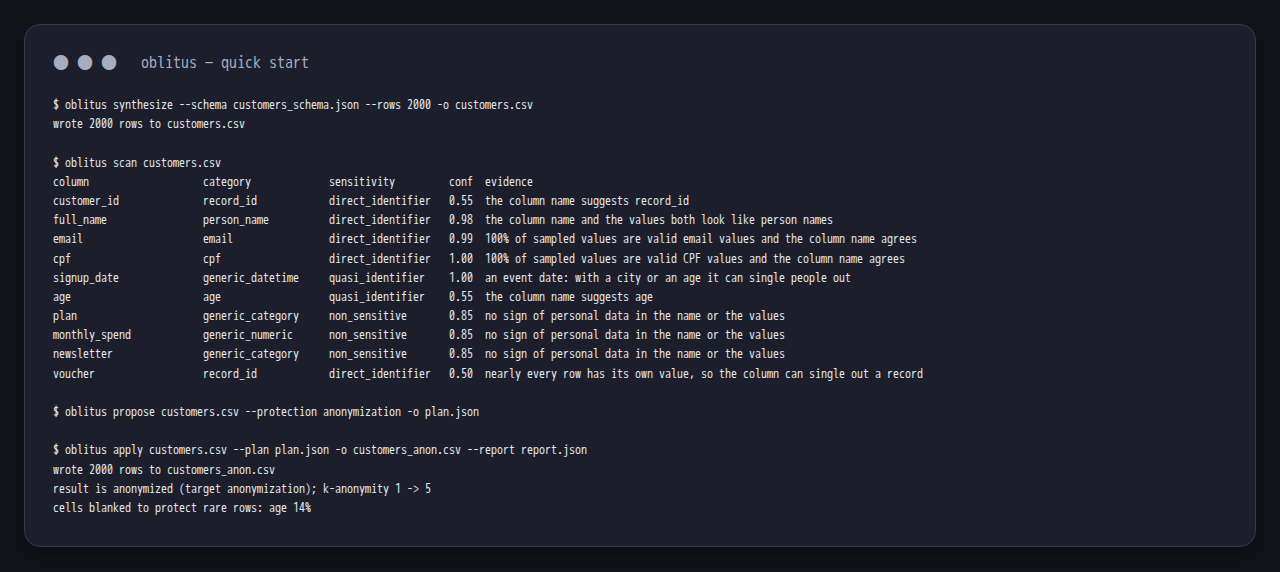 The quick start's commands with their real output: each column's category and evidence, then "result is anonymized"