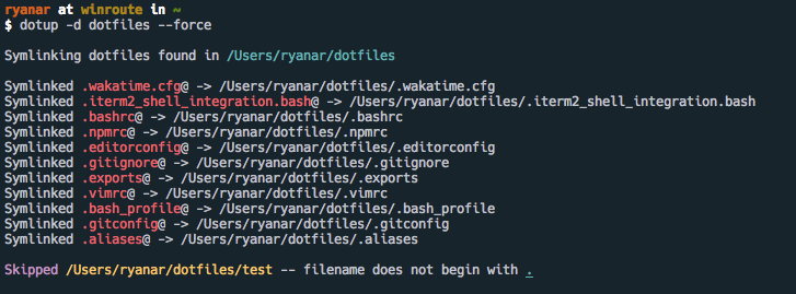 Dotfiles Example Usage