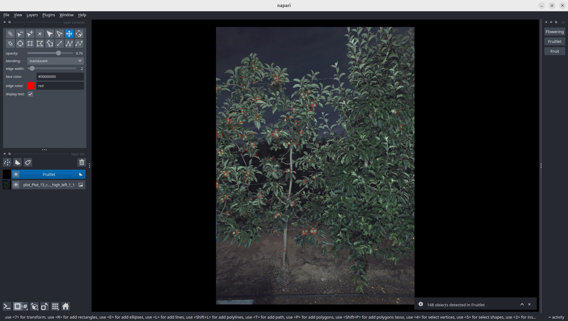 deepphenotree · PyPI