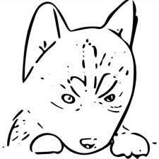 Avatar for Zhaomeng Zhu from gravatar.com