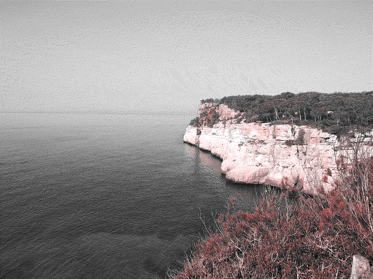 quantized example image