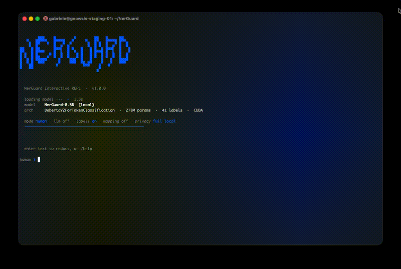 NerGuard demo