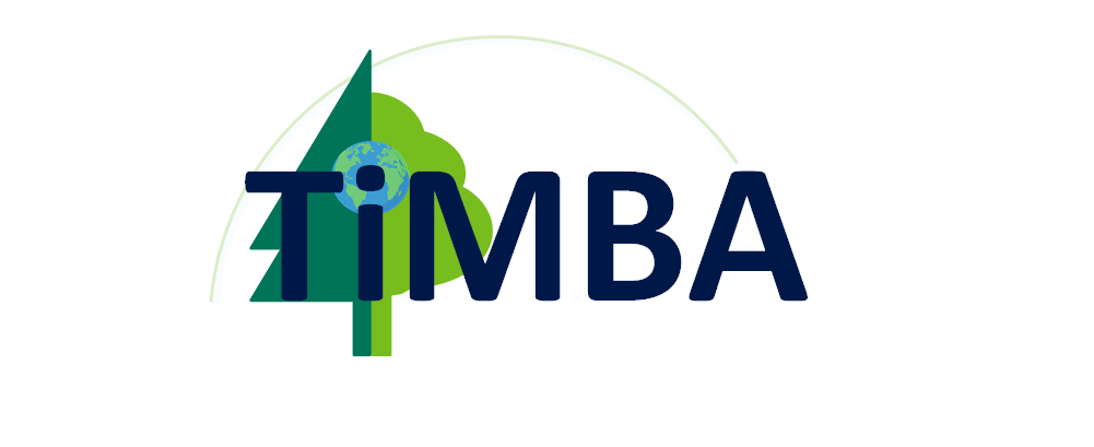 TiMBA Logo