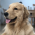 Avatar for aaron67 from gravatar.com
