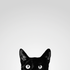 Avatar for Jason Cheatham from gravatar.com