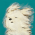 Avatar for ljiahai from gravatar.com