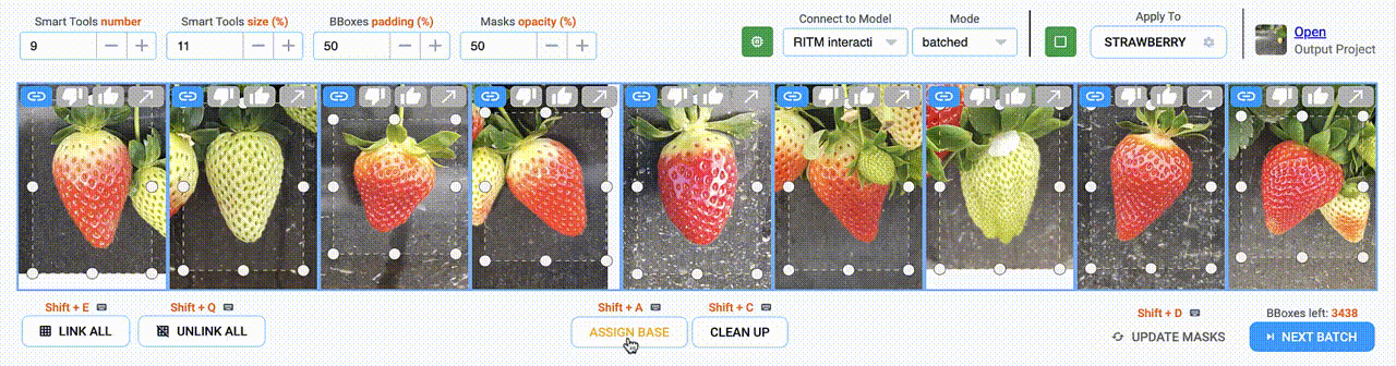 This interface is completely based on python in combination with easy-to-use Supervisely UI widgets (Batched SmartTool app for AI assisted object segmentations) 