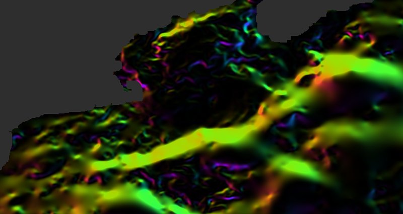 The Gulf Stream's fronts