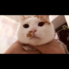 Avatar for Wang Yu from gravatar.com