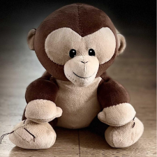 Avatar for Anonymous Monkey from gravatar.com