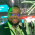 Avatar for byamasupatrick from gravatar.com