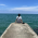 Avatar for JRay from gravatar.com