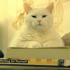 Avatar for Ilya from gravatar.com