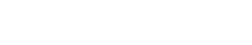 Langvision Logo