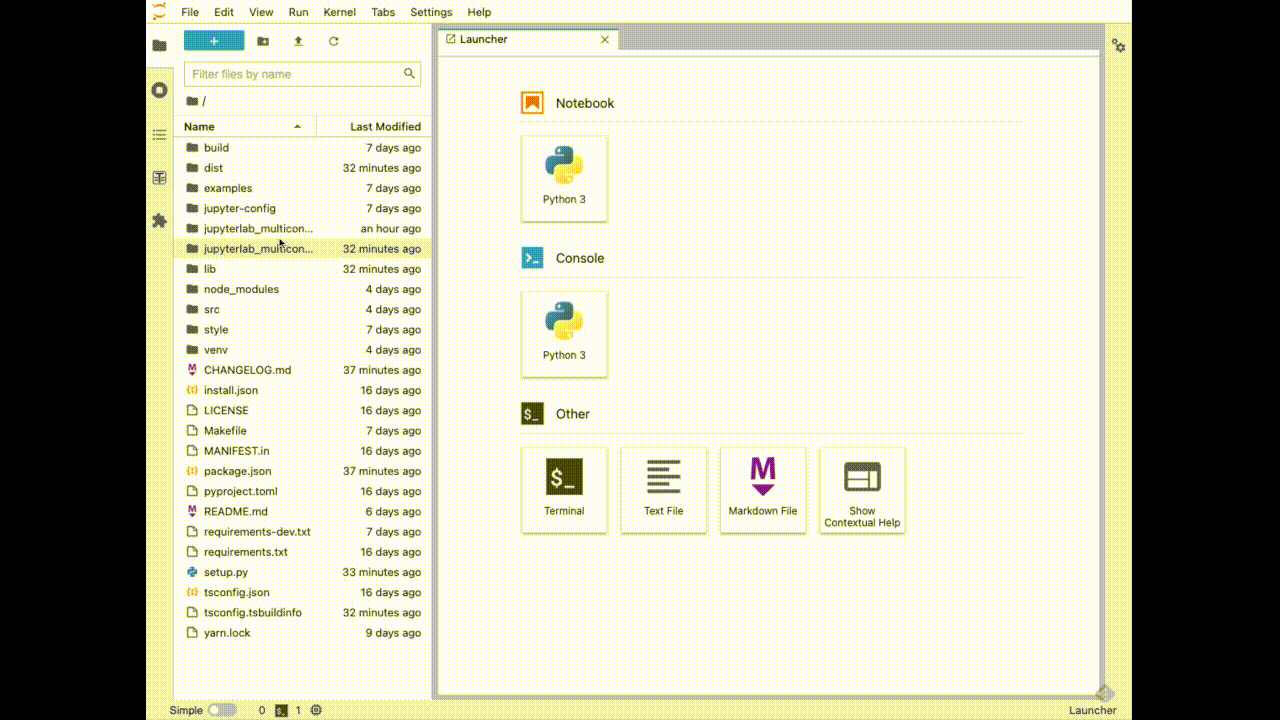 JupyterLab-template-demo