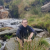 Avatar for trunting from gravatar.com