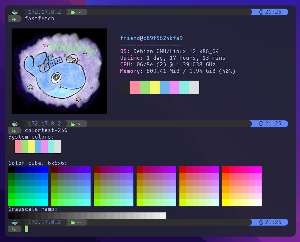 screenshot of color samples and image of dog using a computer using sixel