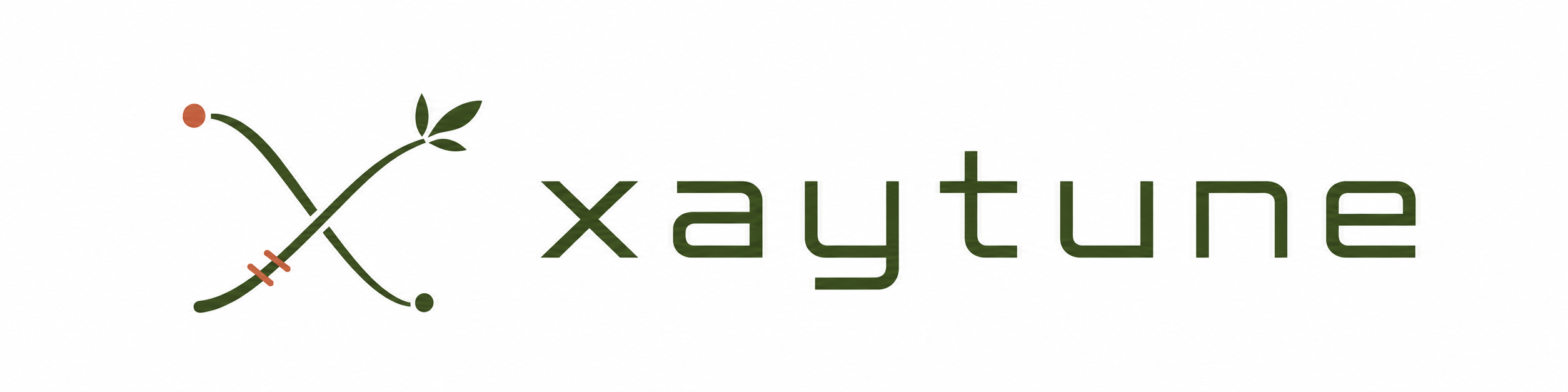 xaytune
