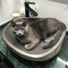 Avatar for Diego Pérez Oliver from gravatar.com