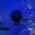 Avatar for mantasu from gravatar.com