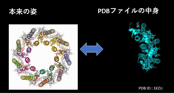 pdb_compere