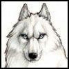 Avatar for Omeh2003 from gravatar.com