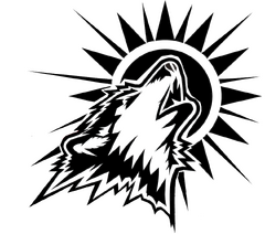 MOST logo