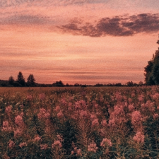 Avatar for Furkan from gravatar.com