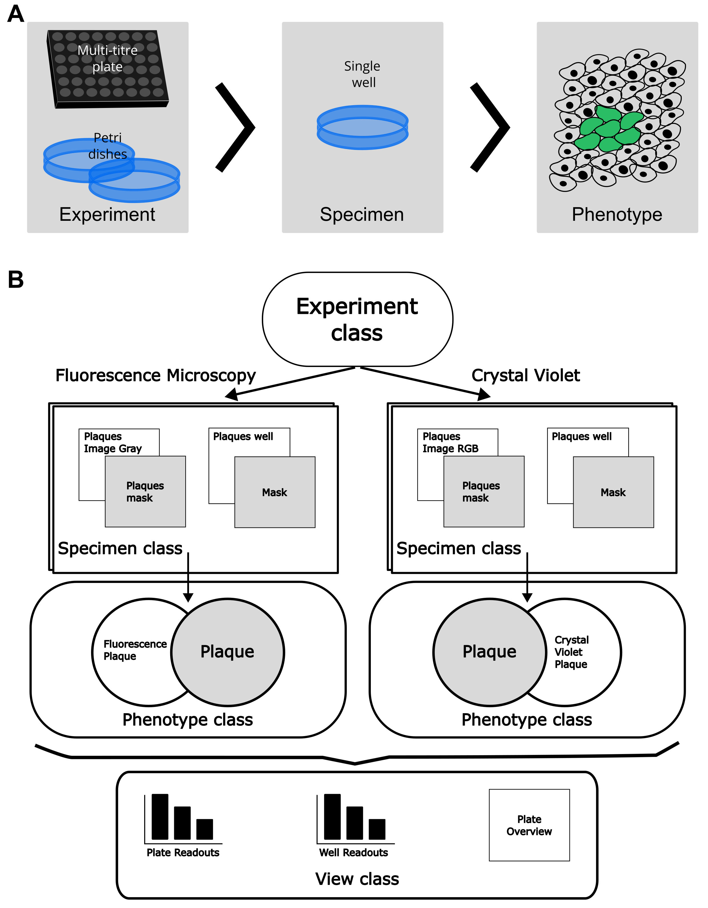 fig1