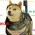 Avatar for atabey from gravatar.com